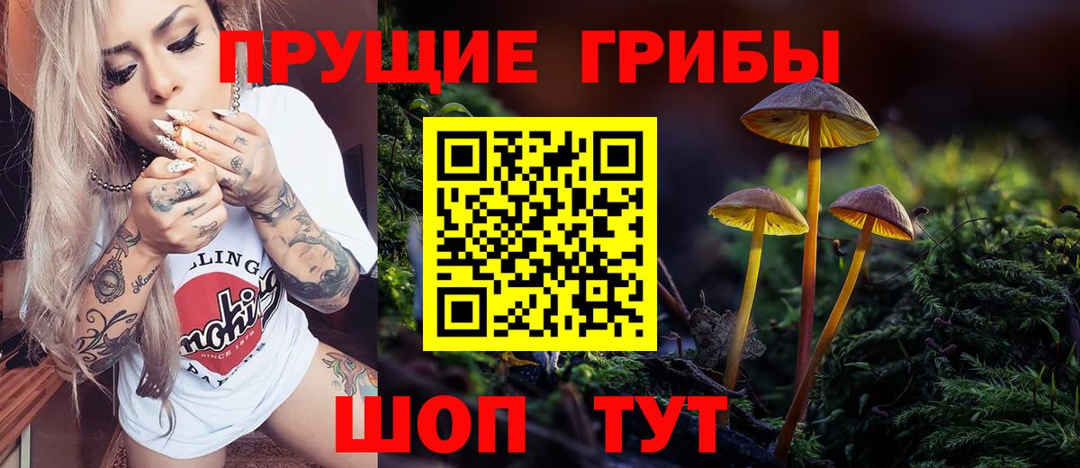 Псилоцибиновые грибы ЛСД Кириши
