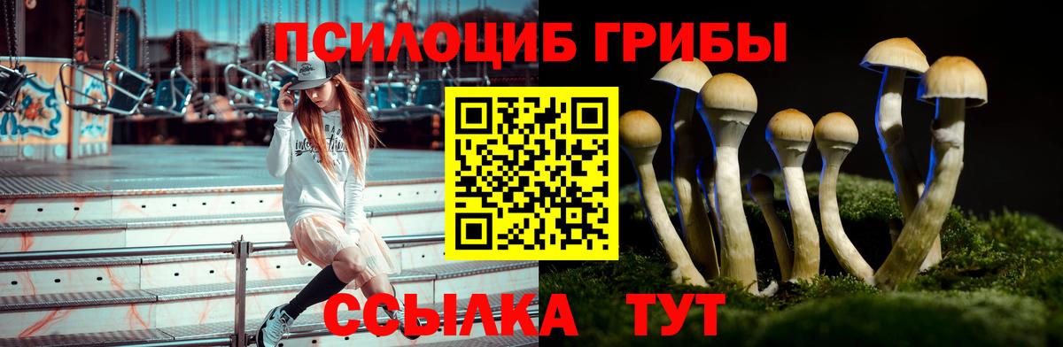 Псилоцибиновые грибы Psilocybine cubensis  Вход с VPN  Кириши 